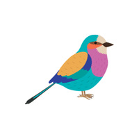 Roller | Flying Birds Names