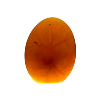 Rooster fertilized egg