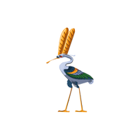 Sacred Ibis