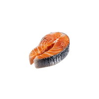 Salmon meat