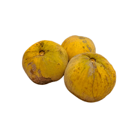 Santol Fruit (green stage)