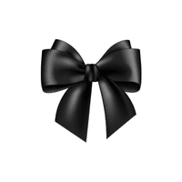Satin Hair Tie | Types of Hair Accessories Names