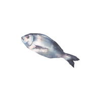 Sea Bream