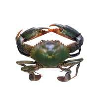 Sea Crab | Types of Crabs with Names in English