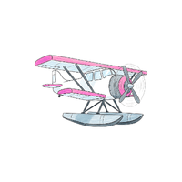 Skiplane| Different Types of Aeroplanes with Names