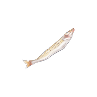 Smelt | Types of Fish with Names in English