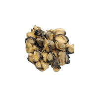 Snail meat