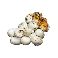 Snake egg | Types of Eggs with Names in English