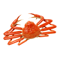 Snow Crab | Types of Crabs with Names in English