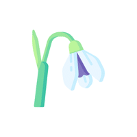 Snowdrop