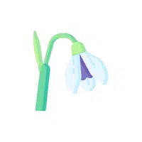 Snowdrop