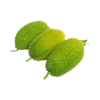 Spiny Gourd