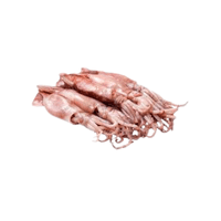 Squid meat | Types of Meats with Names
