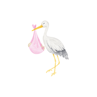 Stork | Water Birds Names