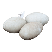 Swan egg