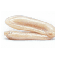 Swim bladder