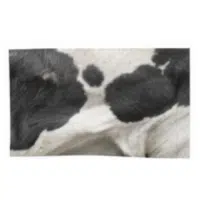 Switch  | Parts of Cow with Names in English 