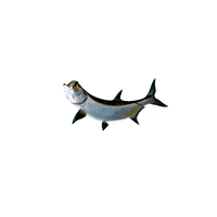 Tarpon