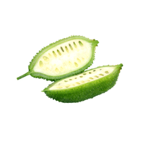 Teasel Gourd