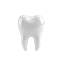 Teeth