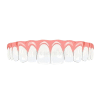 Teeth row | Parts of Body with Names in English