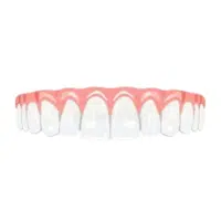 Teeth row | Parts of Body with Names in English