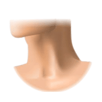Throat | Parts of Body with Names in English