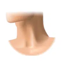 Throat | Parts of Body with Names in English
