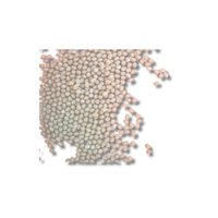 Tilapia egg
