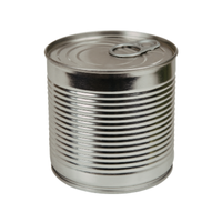 Tin | Types of Metals with Names in English