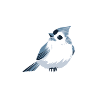 Titmouse