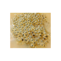 Toad egg | Types of Eggs with Names in English
