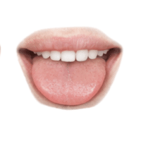 Tongue