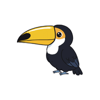 Toucan | Flying Birds Names