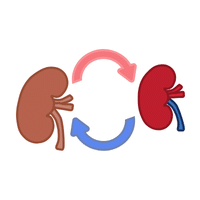 Transplant Surgeon | Types of Doctors with Names