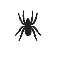 Tree Spider