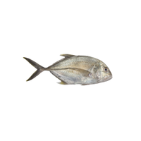 Trevally | Types of Fish with Names in English