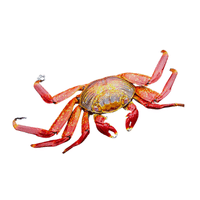 Tropical Crab | Types of Crabs with Names in English