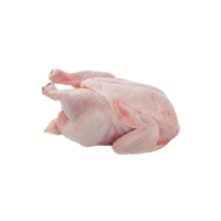 Turkey meat | Types of Meats with Names