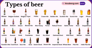 Types of Beer with Names in English and Pictures