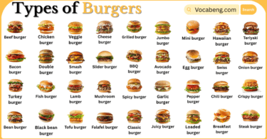 Types of Burgers with Names in English with Pictures