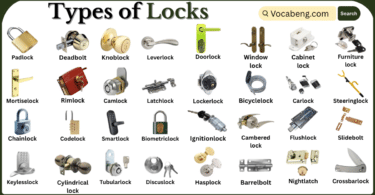 Types of Locks with Names in English with Pictures
