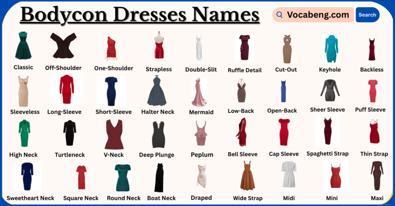 Types of Bodycon Dresses Names in English and Pictures