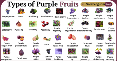 Types of Purple fruits with Names in English with Pictures