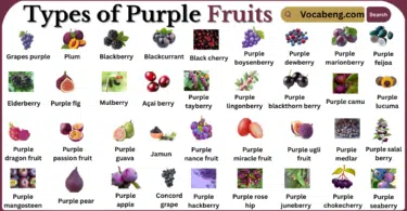 Types of Purple fruits with Names in English with Pictures