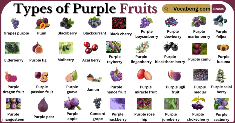 Types of Purple fruits with Names in English with Pictures