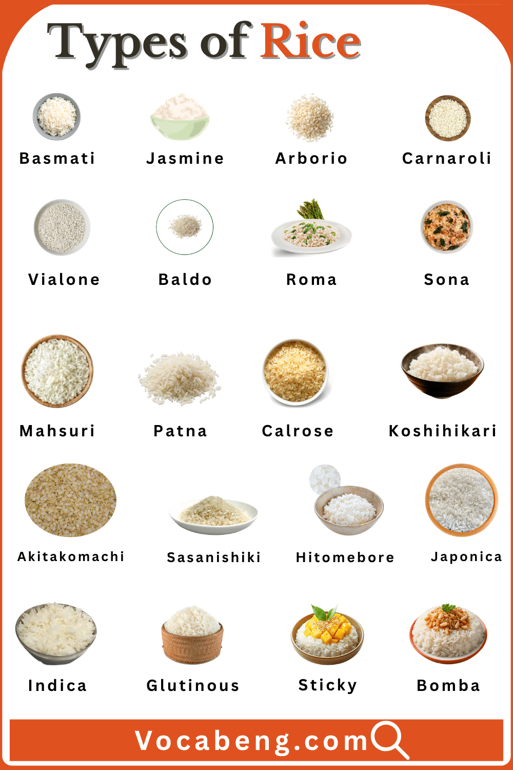 Types of Rice with Names in English and Pictures