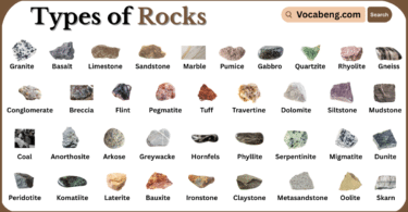 Types of Rocks with Names in English with Pictures