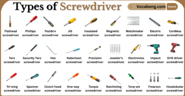 Types of Screwdriver with Names in English with Pictures