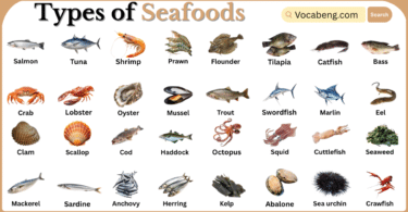 Types of Seafoods with Names in English with Pictures